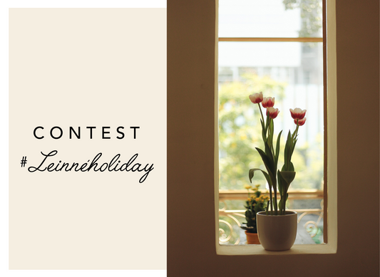 #LeinnéHolidays Contest