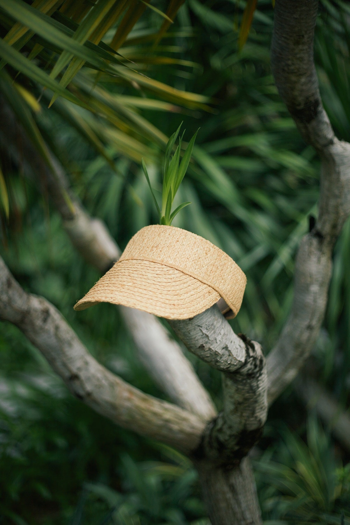 Casquette Tender Visor en raphia