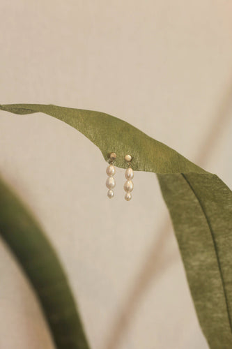 Morning dew graduation pearl earrings